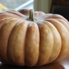 Making Pumpkin Purée