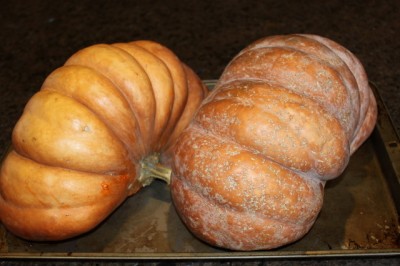 Making Pumpkin Purée