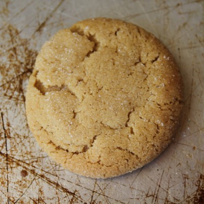 Gingersnap Cookie