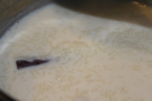 Rice-Milk-Sugar Mix Simmering with Cinnamon Stick