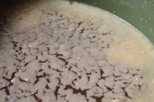 Chilled Chicken Stock with Layer of Fat