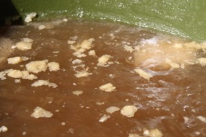 Chilled Chicken Stock Skimmed of Fat