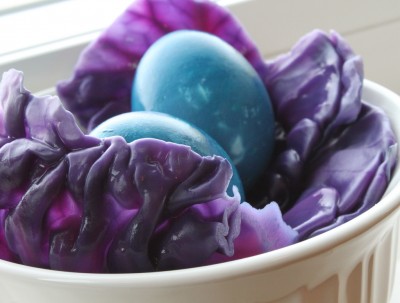 Natural Easter Egg Dyes - Purple Cabbage