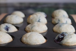 Mini Blueberry Muffins