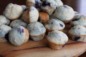 Mini Blueberry Muffins