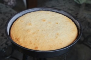 White Cake White Cake