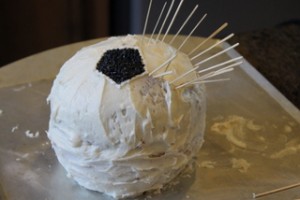 Tracing the Soccer Ball Pattern with Toothpicks