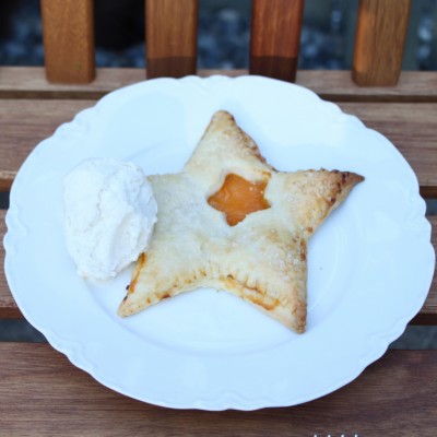 Apricot Pocket Pie