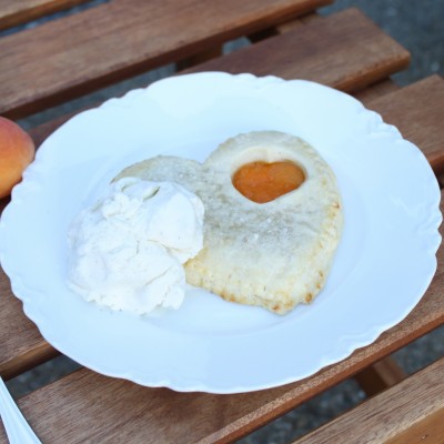 Apricot Pocket Pies