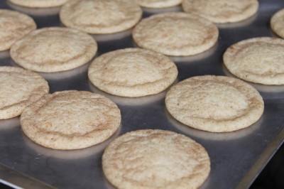 Snickerdoodle Cookies