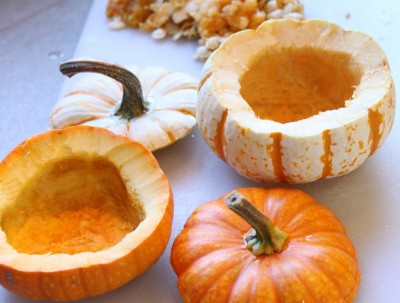 Pumpkin or Squash Soup